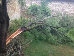 IMG_0623r3.jpg