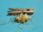 IMG_0009-small.jpg