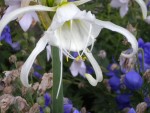 DSCN5670.JPG