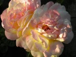 DSCN5671.JPG