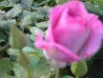 DSCN5667.JPG