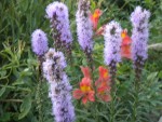 DSCN5668.JPG