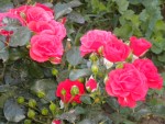 DSCN5665.JPG