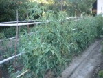 DSCN5658.JPG
