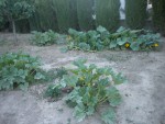 DSCN5659.JPG
