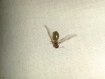 20140703_225835.jpg