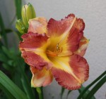 1040e.JPG