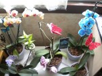 DSCN1119.JPG