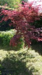 mms_20140706.jpg