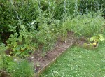 tomates potiron courgettes.jpg