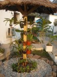 DSC03730 - Copie.JPG