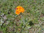 Photo0207.jpg