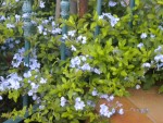 DSCN5673.JPG