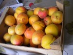 DSCN5688.JPG