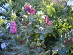 DSCN5691.JPG