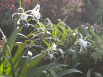 DSCN5695.JPG
