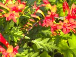 DSCN5700.JPG