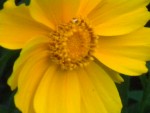 DSCN5705.JPG