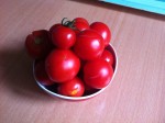 IMG_6018.jpeg