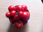 IMG_6019.jpeg
