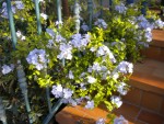 DSCN5692.JPG