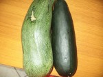 les deux courgettes,une de 2.2 kg et l'autre de 1.4 kg