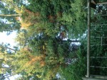 DSC05345.JPG