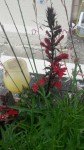 20140712_184414.jpeg