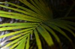 DSC_0066.JPG