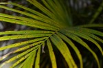 DSC_0067.JPG