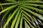 DSC_0069.JPG