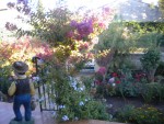 DSCN5710.JPG