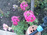 DSCN5711.JPG