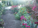 DSCN5713.JPG