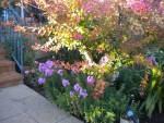 DSCN5714.JPG