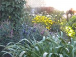 DSCN5716.JPG