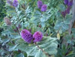 DSCN5721.JPG