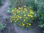 DSCN5722.JPG