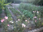 DSCN5735.JPG