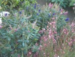 DSCN5730.JPG