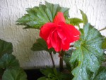 DSCN5738.JPG