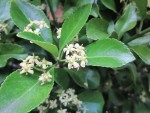 IMG_0074.JPG