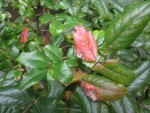 IMG_0076.JPG