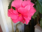 DSCN5742.JPG