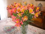 DSCN5744.JPG