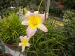 DSCN5746.JPG