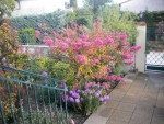 DSCN5747.JPG
