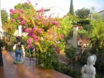 DSCN5748.JPG