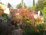 DSCN5749.JPG