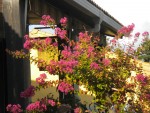 DSCN5752.JPG